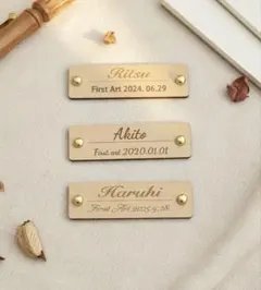 Item thumbnail for item 5f014425-cf85-460c-976f-2875b75d62ea