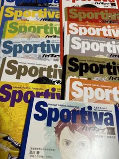 ハイキュー 特典　アニメイト　ショーセツバン ビジュアルボード コンプ　13種