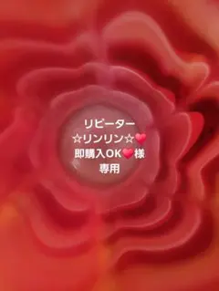 ☆リンリン☆♥️即購入OK♥️様専用