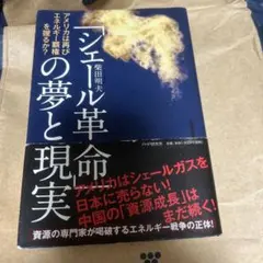 「シェール革命」の夢と現実 : アメリカは再びエネルギー覇権を握るか?