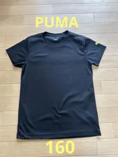 PUMA プーマ　Tシャツ 160