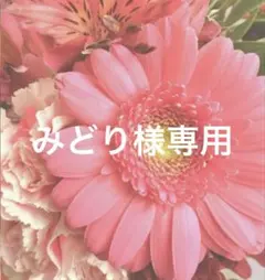 みどり様 確認用ページ