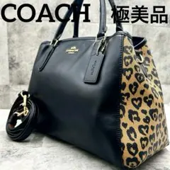 極美品 コーチ 2way ショルダーバッグ ハンドバッグ レオパード 24207