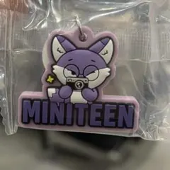 MINITEEN SEVENTEEN ガチャガチャ ウォヌ フォッドンイ