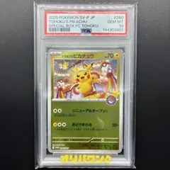 2026年最新】トウホクのピカチュウ psa10の人気アイテム - メルカリ