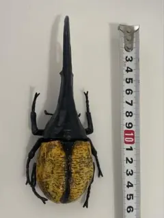ヘラクレスオオカブトムシのサムネイル