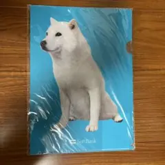 SoftBank お父さんクリアファイル MS00065