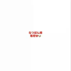 なつぽん様専用ページ❁⃘*.゜
