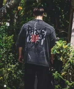 LYFT ATHLETIC HORSE GRAPHIC VINTAGE tシャツ - メルカリ