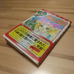 キャンディキャンディ　黒文字　9巻　初版　本人直筆サイン入り　いがらしゆみこ キャンディキャンディ 黒文字 9巻 初版 本人直筆サイン入り