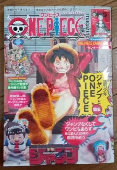 ワンピースマガジン 20 付録特典カード付き