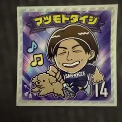 サンフレッチェ広島　松本泰志　サンフレヒーローズシール