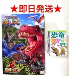 2点セット 恐竜 ぬりえ 図鑑カルタ 恐竜時代 新品 おもちゃ 知育