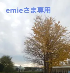 CUT2月号赤楚衛二切り抜き