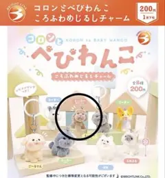 コロンとべびわんこ　ころふわめじるしチャーム　といぷー　ぶらうん