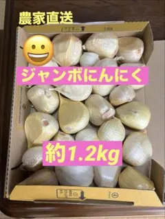 ジャンボニンニク(土日価格)のサムネイル