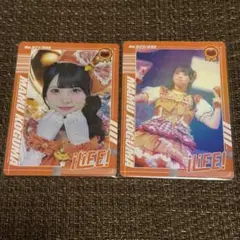 iLiFE! 小熊まむ トレカ 2種