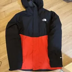 THE NORTH FACE GORE-TEX　ゴアテックス　ダウンジャケット