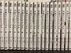 文豪ストレイドッグス全巻(1〜27巻)
