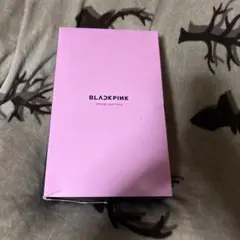 2026年最新】在庫 blackpink 公式ペンライトの人気アイテム - メルカリ