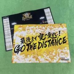 阪神　タイガース CS入場記念　応援ボード 2枚セット