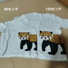 レッサーパンダ柄 半袖Tシャツ 2枚セット 80cm 120cm