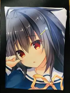 ホロライブ 大神ミオ 抱き枕カバー かぼすライム 正規品 中古 - メルカリ