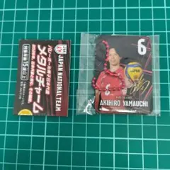 ガチャガチャ メタルチャーム バレーボール男子日本代表 山内晶大選手