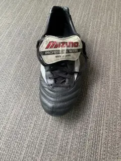 Item thumbnail for item c8437f19-fe45-4e4a-9f45-4e4aeac33b71