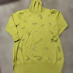 Item thumbnail for item 665c4d49-c0b6-457d-84da-6df78415f30f