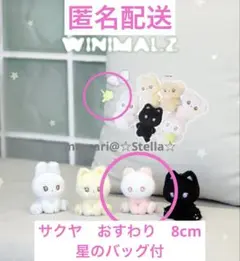 nct wish リク　10cm ぬいぐるみ　新品　マスター 未開封 nctwish steady wish doll リク クリ ぬいぐるみ