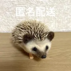 ハリネズミ 羊毛フェルトぬいぐるみ ② - メルカリ