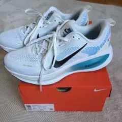 Nike Vomero 18