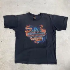 USA製 90s シングルステッチ　ゾーラック　ボロ USA製 90s シングルステッチ ゾーラック ボロ - メルカリ