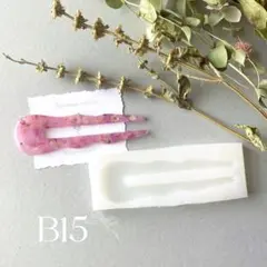 B15