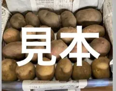 我が家の野菜‼️ じゃがいも食べ比べセット　コンパクトのサムネイル
