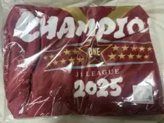 鹿島アントラーズ 25J1リーグ優勝記念ブランケット（サイン） - メルカリ