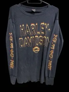 Harley-Davidson 長袖カットソー グリーン ファイヤーフレイム - メルカリ