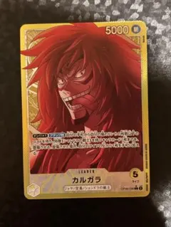 カルガラ　リーダーパラレル