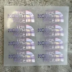 THE NORTH FACE ミニアイロン