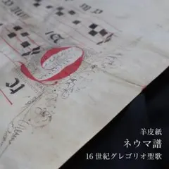 須*】様 【丸善購入/希少廃盤】セーラー万年筆 世界の銘木シリーズ