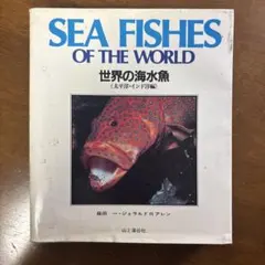 鮫 the SHARKS 谷内透著 - メルカリ