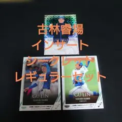 2025 BBM fusion 古林睿煬セット