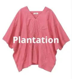 2026年最新】Plantation レディース 半袖 シャツ・ブラウスの人気