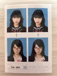 seju 向井怜衣 証明写真 vol.2