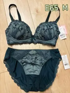チュチュアンナ 運命のブラ ノンワイヤーブラジャーショーツ E65 ショーツM