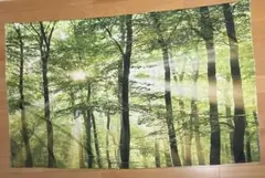 森林風景デザインカーテン 約149cm x 91.5cm⭐︎リメイク品