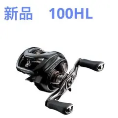 期間限定DAIWA 24STEEZ SV TW 100HL 左ハンドル 楽天市場】【当店限定P5倍確定】ダイワ(DAIWA) 24 スティーズ SV