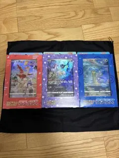 BW-P ミュウツー _ジャンボカード バトルカーニバル2011 たいけんバト