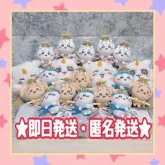 ちいかわ　討伐マスコット　あのこBIGぬいぐるみ　まとめ売り